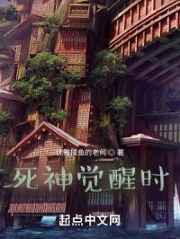 死神觉醒时