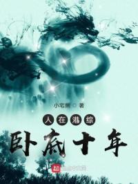 人在港综,卧底十年
