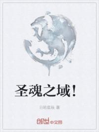 圣魂之域！