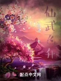仙武飞升