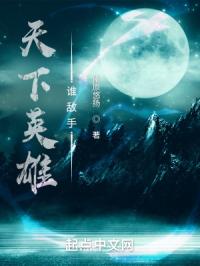 天下英雄谁敌手？