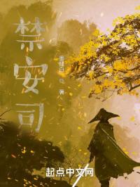 禁安司